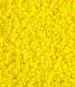 Matte Opaque Yellow