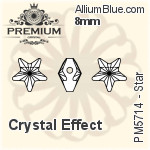 PREMIUM 33 Facets Chaton (PM1088) PP3 - Clear Crystal With Foiling