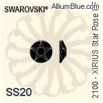 SS20 (4.8mm)