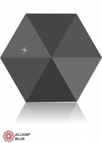 施華洛世奇 #5060 Hexagon Spike (Two Holes)