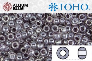 TOHO Round Seed Beads (RR3-1064) 3/0 Round Extra Large - Inside-Color Crystal/Concord Grape-Lined - Click Image to Close