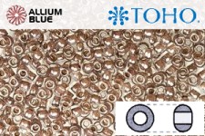 TOHO ラウンド Seed ビーズ (RR6-1071) 6/0 ラウンド Large - Inside-カラー Crystal/Antique Plum-Lined