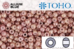 TOHO Round Seed Beads (RR6-1201) 6/0 Round Large - Marbled Opaque Beige/Pink - Click Image to Close