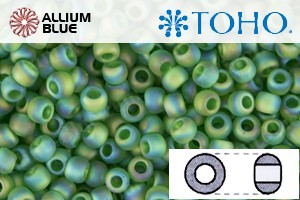 TOHO Round Seed Beads (RR3-167BF) 3/0 Round Extra Large - Transparent-Rainbow Frosted Grass Green - Click Image to Close