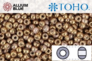 TOHO Round Seed Beads (RR6-1700) 6/0 Round Large - Gilded Marble White - Click Image to Close