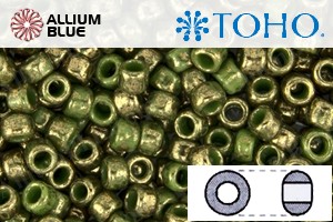 TOHO Round Seed Beads (RR3-1702) 3/0 Round Extra Large - Gilded Marble Green - Click Image to Close