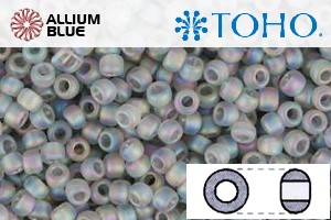 TOHO Round Seed Beads (RR8-176AF) 8/0 Round Medium - Transparent-Rainbow Frosted Black Diamond - Click Image to Close