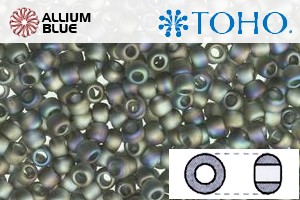 TOHO Round Seed Beads (RR3-176BF) 3/0 Round Extra Large - Transparent-Rainbow Frosted Gray - Click Image to Close