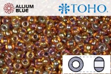 TOHO Round Seed Beads (RR6-1825) 6/0 Round Large - Inside-Color Rainbow Hyacinth/Opaque Purple-Lined