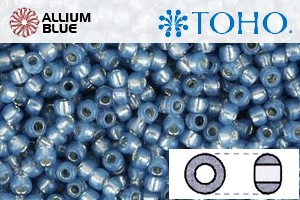 TOHO Round Seed Beads (RR6-2102) 6/0 Round Large - Silver-Lined Milky Montana Blue