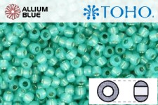 TOHO Round Seed Beads (RR6-2104) 6/0 Round Large - Silver-Lined Milky Teal