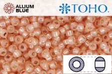 TOHO Round Seed Beads (RR6-2111) 6/0 Round Large - Silver-Lined Milky Peach