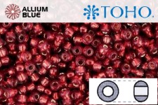 TOHO Round Seed Beads (RR6-2113) 6/0 Round Large - Silver-Lined Milky Pomegranate