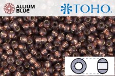 TOHO Round Seed Beads (RR3-2114) 3/0 Round Extra Large - Silver-Lined Milky Nutmeg