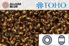 TOHO Round Seed Beads (RR6-2152S) 6/0 Round Large - Silver-Lined Sasparilla