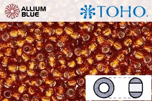 TOHO Round Seed Beads (RR3-2208) 3/0 Round Extra Large - Silver-Lined Burnt Orange - Click Image to Close