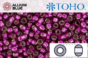 TOHO Round Seed Beads (RR8-2223) 8/0 Round Medium - Dragonfruit Silver Lined - Click Image to Close