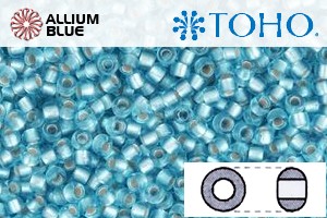 TOHO Round Seed Beads (RR6-23F) 6/0 Round Large - Silver-Lined Frosted Aquamarine - 关闭视窗 >> 可点击图片