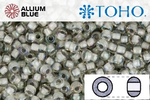 TOHO Round Seed Beads (RR3-261) 3/0 Round Extra Large - Inside-Color Rainbow Crystal/Gray-Lined - Click Image to Close