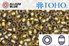 TOHO Round Seed Beads (RR8-268) 8/0 Round Medium - Inside-Color Rainbow Crystal/Gold-Lined