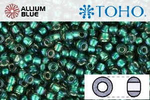TOHO Round Seed Beads (RR6-270) 6/0 Round Large - Inside-Color Crystal/Prairie Green-Lined - 关闭视窗 >> 可点击图片