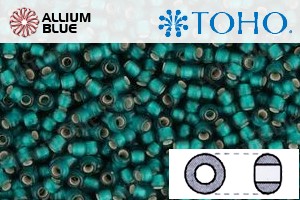 TOHO Round Seed Beads (RR6-27BDF) 6/0 Round Large - Silver-Lined Frosted Teal - Click Image to Close