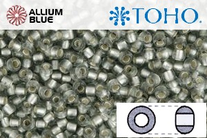 TOHO Round Seed Beads (RR3-29AF) 3/0 Round Extra Large - Silver-Lined Frosted Black Diamond - Click Image to Close