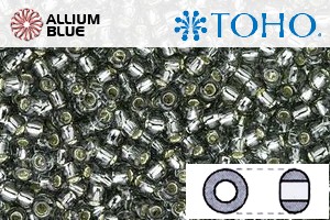 TOHO Round Seed Beads (RR8-29B) 8/0 Round Medium - Silver-Lined Gray - Click Image to Close
