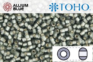 TOHO Round Seed Beads (RR11-29BF) 11/0 Round - Silver-Lined Frosted Gray - Click Image to Close