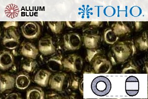 TOHO Round Seed Beads (RR6-324) 6/0 Round Large - Gold-Lustered Prairie Green - Haga Click en la Imagen para Cerrar
