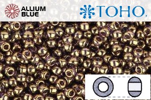 TOHO Round Seed Beads (RR6-325) 6/0 Round Large - Gold-Lustered Lt Tanzanite - Click Image to Close