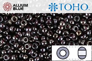 TOHO Round Seed Beads (RR6-364) 6/0 Round Large - Inside-Color Lustered Grape - Click Image to Close