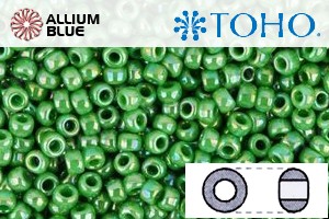 TOHO Round Seed Beads (RR8-407) 8/0 Round Medium - Opaque-Rainbow Mint Green - Click Image to Close