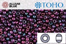 TOHO ラウンド Seed ビーズ (RR15-504) 15/0 ラウンド Small - Higher-Metallic Iris - Violet