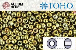 TOHO Round Seed Beads (RR15-513) 15/0 Round Small - Galvanized Carnival - Click Image to Close