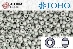 TOHO Round Seed Beads (RR3-53) 3/0 Round Extra Large - Opaque Gray - 关闭视窗 >> 可点击图片