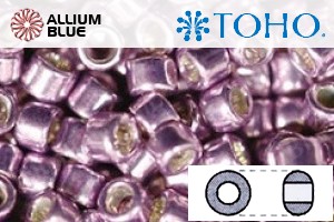 TOHO Round Seed Beads (RR6-554) 6/0 Round Large - Galvanized Lilac - Click Image to Close