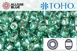 TOHO Round Seed Beads (RR6-561) 6/0 Round Large - Galvanized Green Teal - Click Image to Close