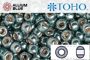 TOHO Round Seed Beads (RR11-565) 11/0 Round - Galvanized Blue Slate - Haga Click en la Imagen para Cerrar