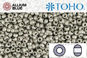 TOHO Round Seed Beads (RR8-566) 8/0 Round Medium - Metallic Frosted Antique Silver - Click Image to Close