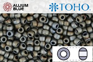 TOHO Round Seed Beads (RR6-613) 6/0 Round Large - Matte-Color Iris - Gray - Click Image to Close