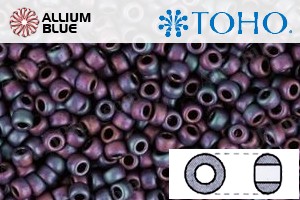TOHO Round Seed Beads (RR6-704) 6/0 Round Large - Matte-Color Andromeda