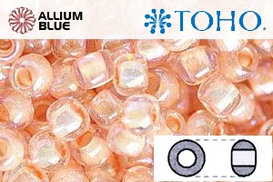 TOHO Round Seed Beads (RR6-794) 6/0 Round Large - Inside-Color Rainbow Crystal/Apricot-Lined - 關閉視窗 >> 可點擊圖片
