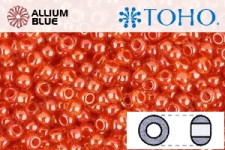 TOHO ラウンド Seed ビーズ (RR6-958) 6/0 ラウンド Large - Inside-カラー Hyacinth/Siam-Lined