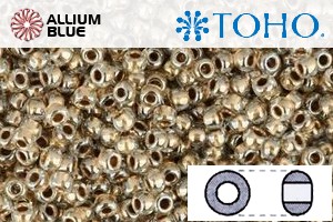 TOHO Round Seed Beads (RR6-989) 6/0 Round Large - Gold-Lined Crystal - Click Image to Close