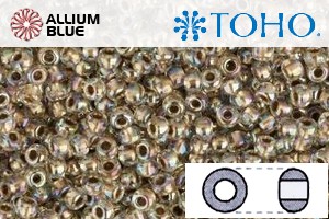 TOHO Round Seed Beads (RR6-994) 6/0 Round Large - Gold-Lined Rainbow Crystal - Click Image to Close