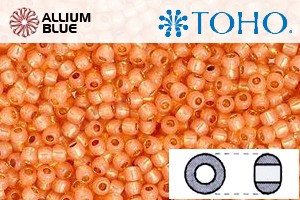 TOHO Round Seed Beads (RR3-PF2112) 3/0 Round Extra Large - PermaFinish - Silver-Lined Milky Grapefruit - Click Image to Close