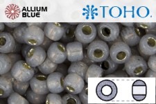 TOHO ラウンド Seed ビーズ (RR3-PF2115) 3/0 ラウンド Extra Large - PermaFinish - Silver-Lined Milky Gray