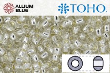 TOHO ラウンド Seed ビーズ (RR15-PF21) 15/0 ラウンド Small - PermaFinish - Silver-Lined Crystal