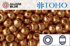 TOHO Round Seed Beads (RR6-PF551) 6/0 Round Large - PermaFinish - Galvanized Rose Gold